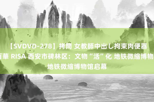 【SVDVD-278】拷問 女教師中出し拘束肉便器 仁科百華 RISA 西安市碑林区：文物“活”化 地铁微缩博物馆启幕