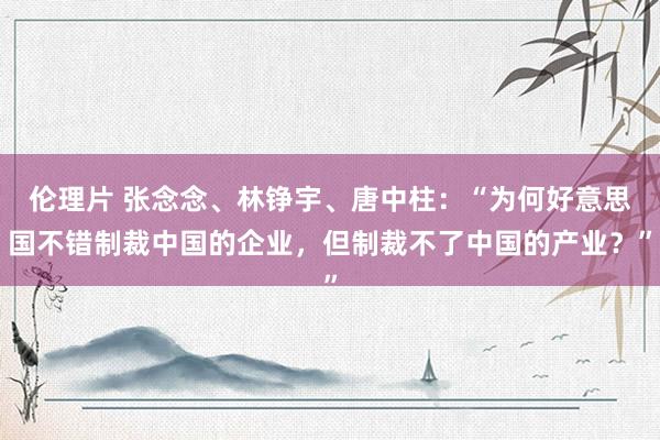 伦理片 张念念、林铮宇、唐中柱：“为何好意思国不错制裁中国的企业，但制裁不了中国的产业？”