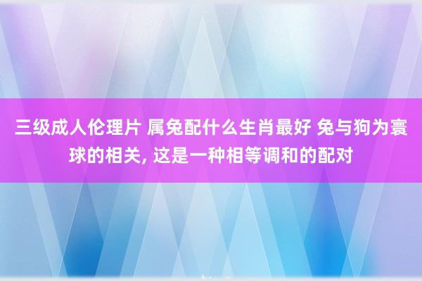 三级成人伦理片 属兔配什么生肖最好 兔与狗为寰球的相关, 这是一种相等调和的配对
